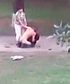 Naked Man In A Park