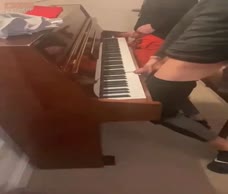 Piano Penises