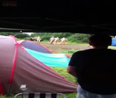 Festival Mud Slide