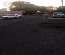 Naked Dude Goes For A Walk