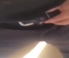 Black Lad Flashes