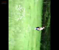 Chub In A Field