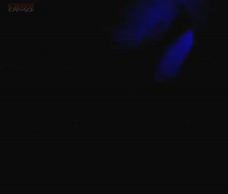 Lads Dances With His Dick Out