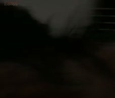 Yordi Runs Naked