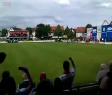 Cricket Streaker