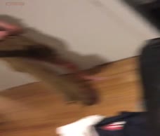Bryce 2