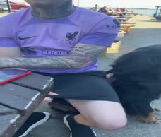 Bouncy Dick