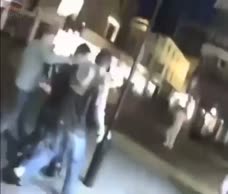 Stag Gets Cling Filmed