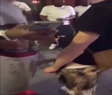 Big Dick Out