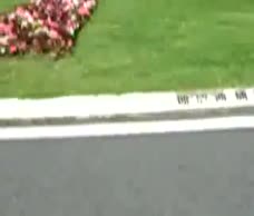 Dude In The Street