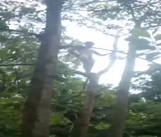 Naked Monkey