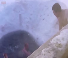 Cold Cocks