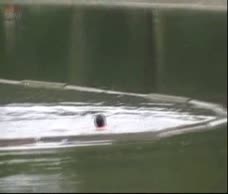 Lake Dude 