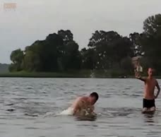 Lake Chub