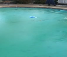 Cold Cock Diving