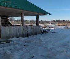 Cold Cock
