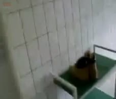 Shower Dude