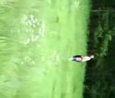 Chub In A Field