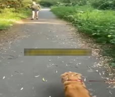 Walk With His Dick Out