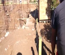 Old Man In The Shower