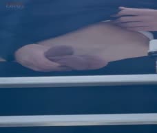 Lads Flash Their Dicks