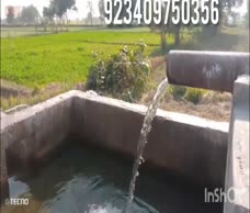 Tubewell Dude