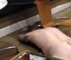 Naked Rugby Slide