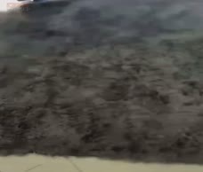 Asian Man Jumps In A Pool