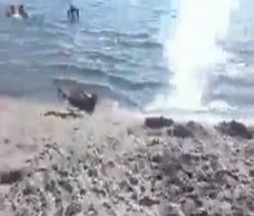 Lake Beach Lad