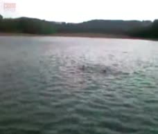 Lake Dudes