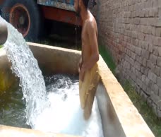 Tubewell Dude