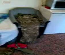 Hotel Lad