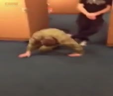 Army Dick Bounce