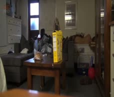 Naked Prank