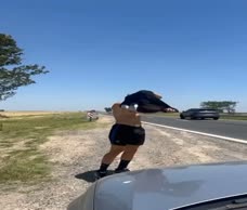 Roadside Muscle
