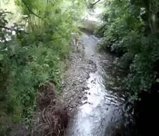 Naked Man Running By The River