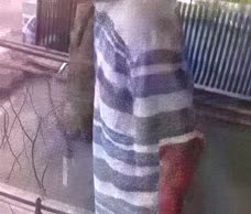 Speedo Cock