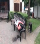 Pissing On A Bench