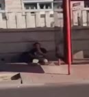 Man Wanks At A Bus Stop