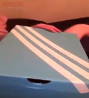 Cock In A Box