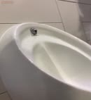 Piss Spy