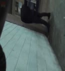 Pissing In The Street