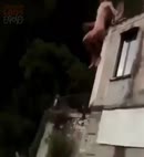 Naked Lads Jump Off The Roof