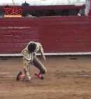 Bullfighter Exposed