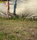 Naked Lad Takes A Piss