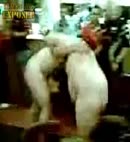 Naked Lads Wrestle At The Pub