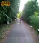 Naked Run In A Wood