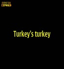 Turkey's Turkey