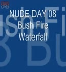 Bush Fire
