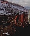 Naked Running Lads
